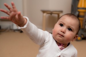 chinese new year cny 2011